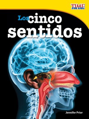 cover image of Los cinco sentidos